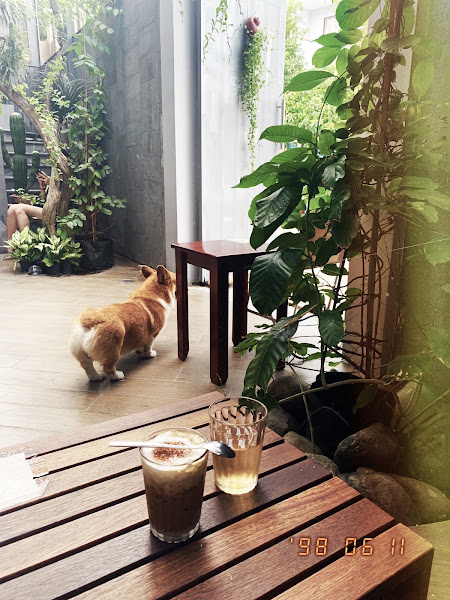 Bar.A Cafe