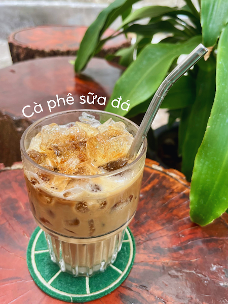 DARLING TEA - Trà Cổ Thụ Đặc Sản
