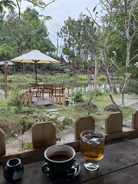 Paradise Coffee